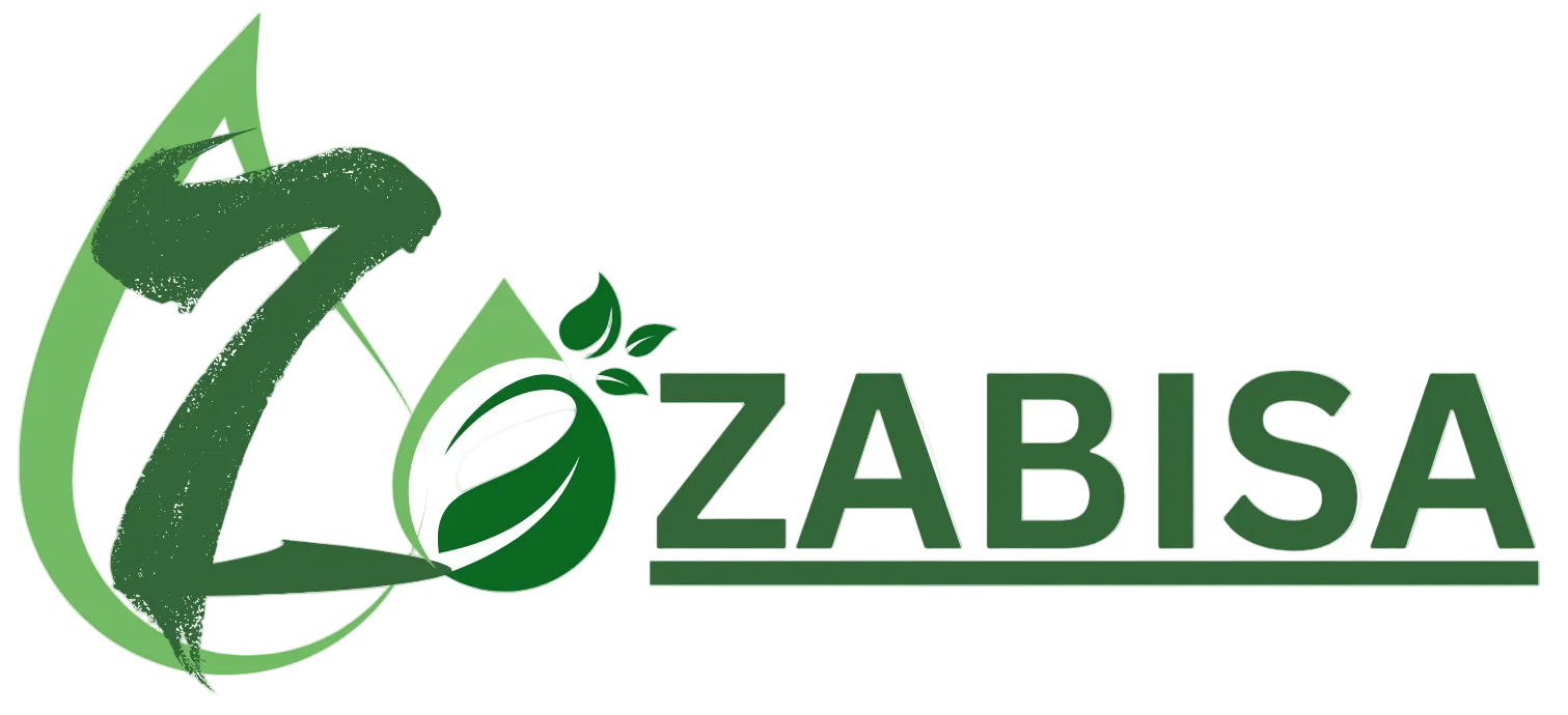 Zabisa logo with green design elements on a white background