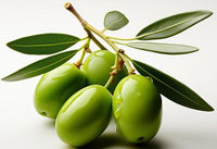 Olive Oil